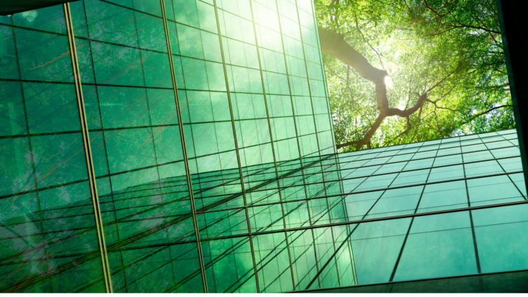 L’impact de la transition écologique sur les pratiques RH