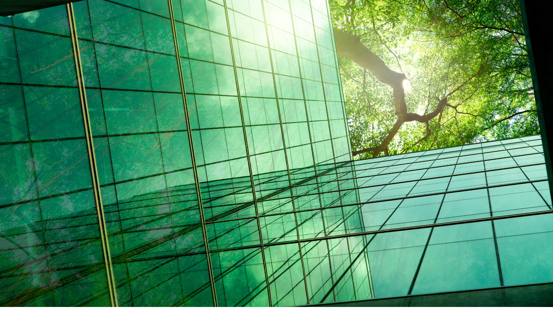 L’impact de la transition écologique sur les pratiques RH